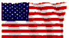 flagusa
